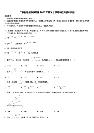 广东省惠州市惠阳区2025年数学七下期末检测模拟试题含解析
