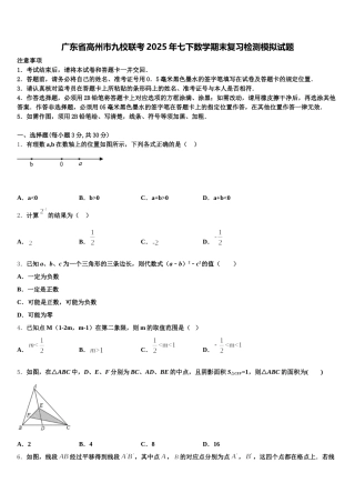 广东省高州市九校联考2025年七下数学期末复习检测模拟试题含解析