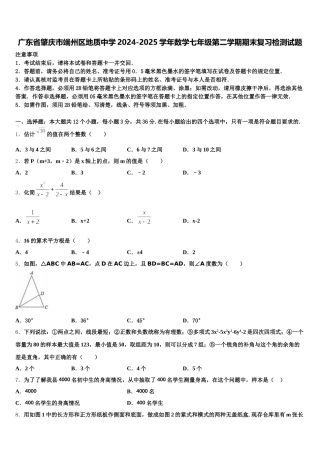广东省肇庆市端州区地质中学2024-2025学年数学七年级第二学期期末复习检测试题含解析