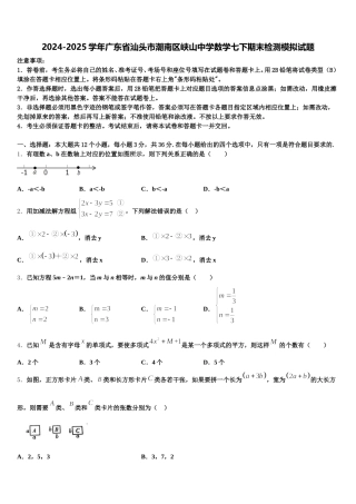 2024-2025学年广东省汕头市潮南区峡山中学数学七下期末检测模拟试题含解析