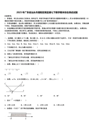 2025年广东省汕头市潮阳区铜盂镇七下数学期末综合测试试题含解析