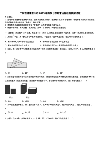 广东省湛江雷州市2025年数学七下期末达标检测模拟试题含解析