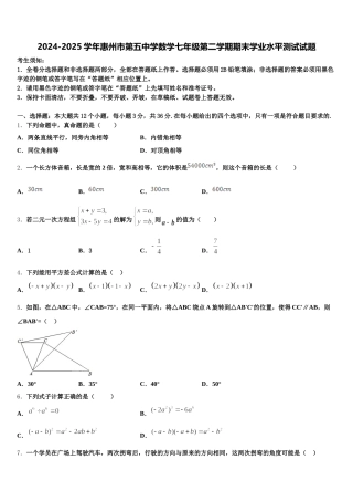 2024-2025学年惠州市第五中学数学七年级第二学期期末学业水平测试试题含解析