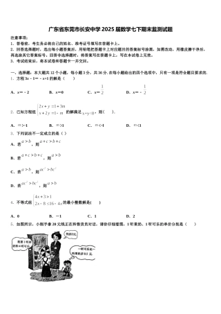广东省东莞市长安中学2025届数学七下期末监测试题含解析