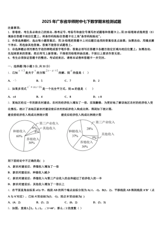 2025年广东省华师附中七下数学期末检测试题含解析