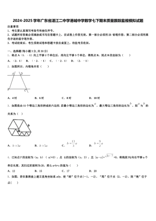 2024-2025学年广东省湛江二中学港城中学数学七下期末质量跟踪监视模拟试题含解析