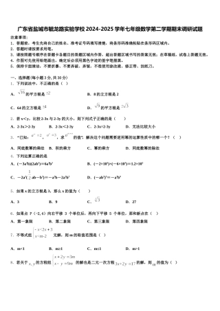 广东省盐城市毓龙路实验学校2024-2025学年七年级数学第二学期期末调研试题含解析