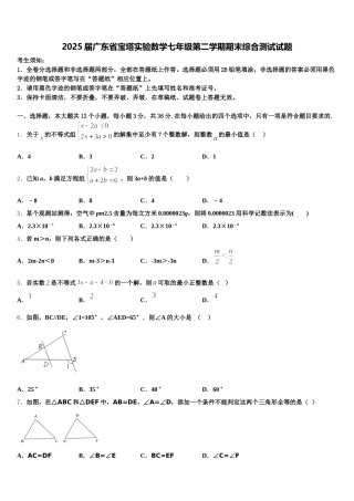 2025届广东省宝塔实验数学七年级第二学期期末综合测试试题含解析