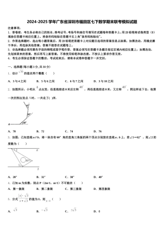 2024-2025学年广东省深圳市福田区七下数学期末联考模拟试题含解析