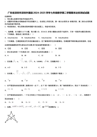广东省深圳市深圳外国语2024-2025学年七年级数学第二学期期末达标测试试题含解析