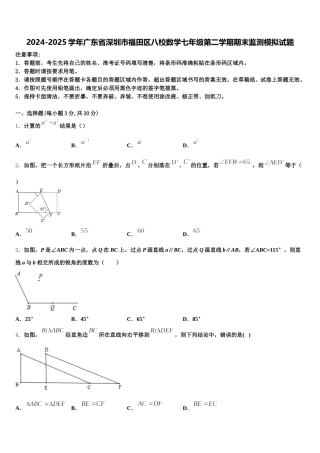 2024-2025学年广东省深圳市福田区八校数学七年级第二学期期末监测模拟试题含解析