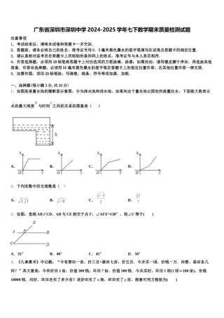 广东省深圳市深圳中学2024-2025学年七下数学期末质量检测试题含解析