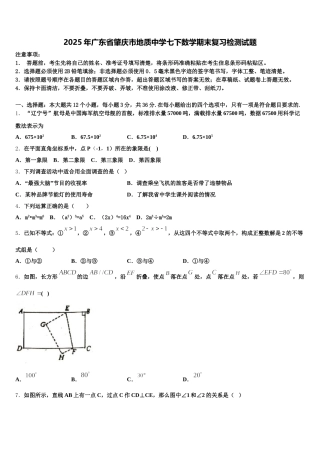 2025年广东省肇庆市地质中学七下数学期末复习检测试题含解析