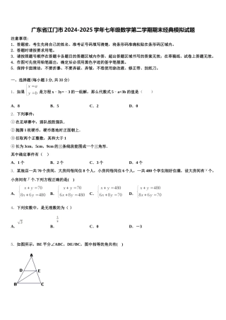 广东省江门市2024-2025学年七年级数学第二学期期末经典模拟试题含解析
