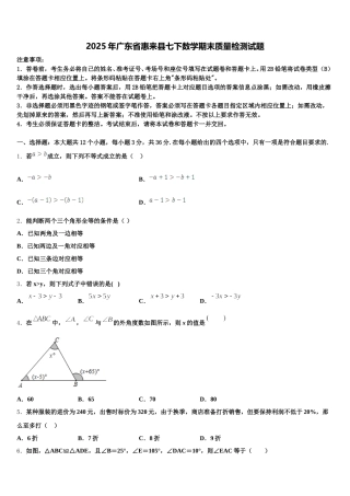 2025年广东省惠来县七下数学期末质量检测试题含解析