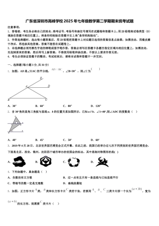 广东省深圳市高峰学校2025年七年级数学第二学期期末统考试题含解析