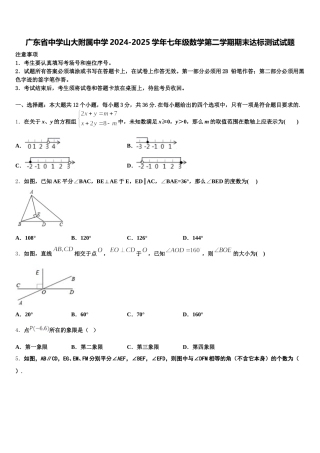 广东省中学山大附属中学2024-2025学年七年级数学第二学期期末达标测试试题含解析