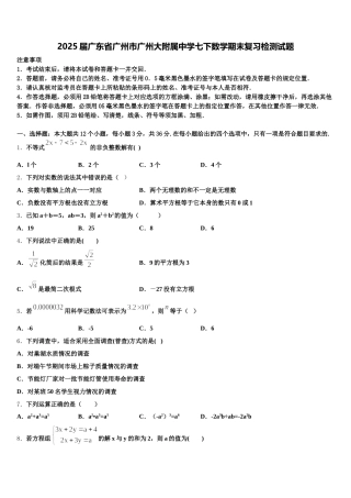 2025届广东省广州市广州大附属中学七下数学期末复习检测试题含解析