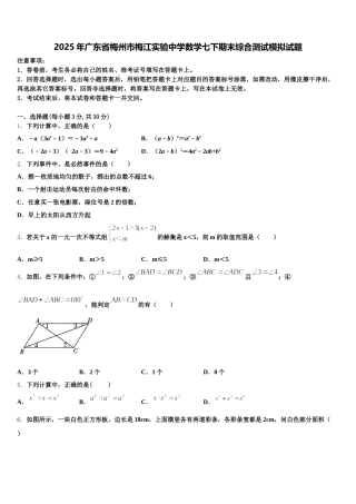2025年广东省梅州市梅江实验中学数学七下期末综合测试模拟试题含解析