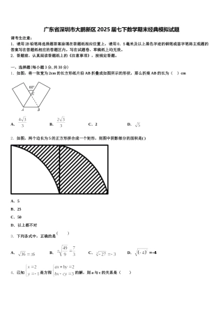 广东省深圳市大鹏新区2025届七下数学期末经典模拟试题含解析