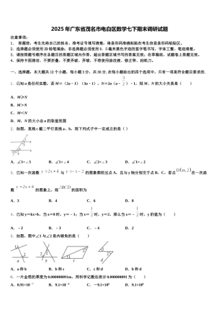 2025年广东省茂名市电白区数学七下期末调研试题含解析