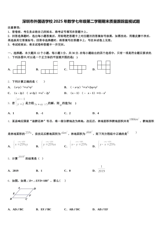 深圳市外国语学校2025年数学七年级第二学期期末质量跟踪监视试题含解析