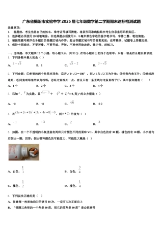 广东省揭阳市实验中学2025届七年级数学第二学期期末达标检测试题含解析