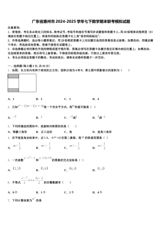 广东省惠州市2024-2025学年七下数学期末联考模拟试题含解析
