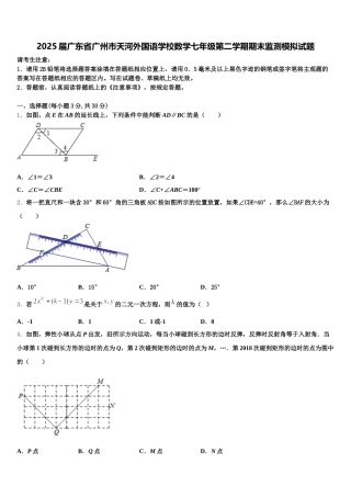 2025届广东省广州市天河外国语学校数学七年级第二学期期末监测模拟试题含解析