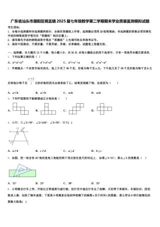 广东省汕头市潮阳区铜盂镇2025届七年级数学第二学期期末学业质量监测模拟试题含解析