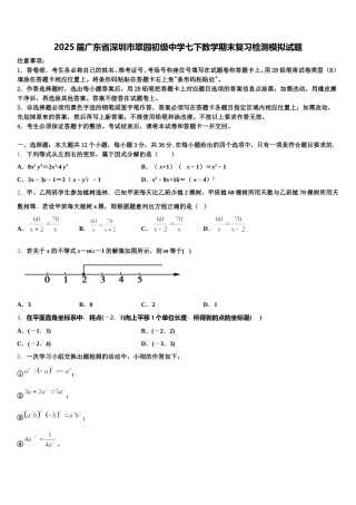 2025届广东省深圳市翠园初级中学七下数学期末复习检测模拟试题含解析