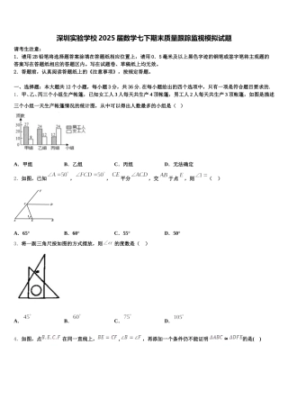 深圳实验学校2025届数学七下期末质量跟踪监视模拟试题含解析