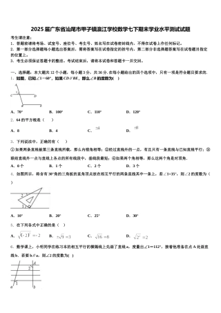 2025届广东省汕尾市甲子镇瀛江学校数学七下期末学业水平测试试题含解析
