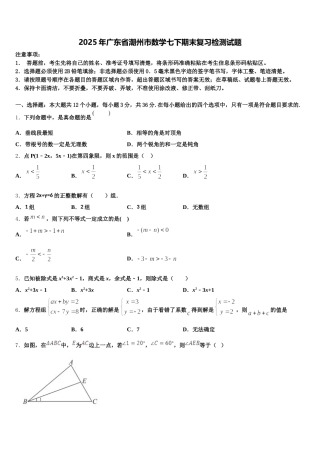 2025年广东省潮州市数学七下期末复习检测试题含解析