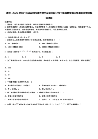 2024-2025学年广东省深圳市北大附中深圳南山分校七年级数学第二学期期末检测模拟试题含解析