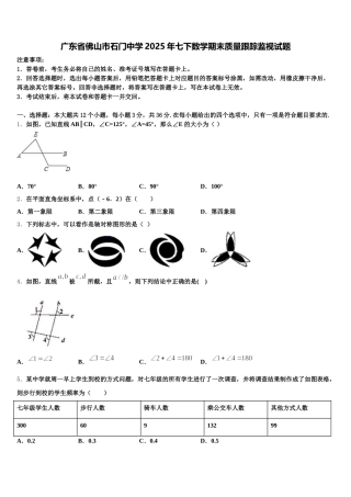 广东省佛山市石门中学2025年七下数学期末质量跟踪监视试题含解析