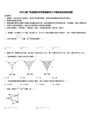 2025届广东省肇庆市怀集县数学七下期末综合测试试题含解析