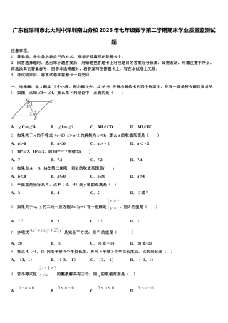 广东省深圳市北大附中深圳南山分校2025年七年级数学第二学期期末学业质量监测试题含解析