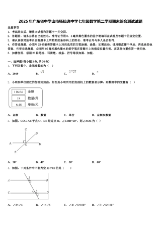 2025年广东省中学山市杨仙逸中学七年级数学第二学期期末综合测试试题含解析