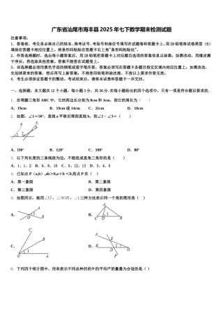 广东省汕尾市海丰县2025年七下数学期末检测试题含解析