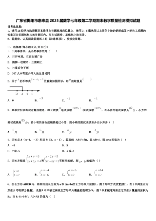广东省揭阳市惠来县2025届数学七年级第二学期期末教学质量检测模拟试题含解析