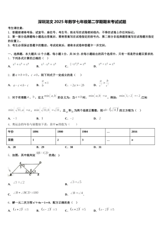 深圳龙文2025年数学七年级第二学期期末考试试题含解析