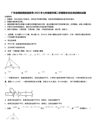 广东省揭阳揭西县联考2025年七年级数学第二学期期末综合测试模拟试题含解析