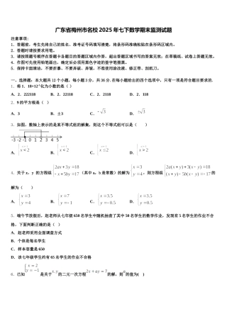 广东省梅州市名校2025年七下数学期末监测试题含解析
