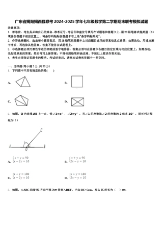广东省揭阳揭西县联考2024-2025学年七年级数学第二学期期末联考模拟试题含解析