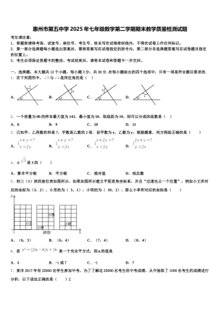 惠州市第五中学2025年七年级数学第二学期期末教学质量检测试题含解析