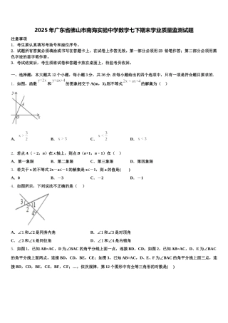 2025年广东省佛山市南海实验中学数学七下期末学业质量监测试题含解析