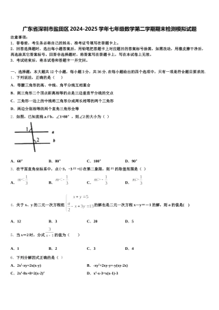 广东省深圳市盐田区2024-2025学年七年级数学第二学期期末检测模拟试题含解析