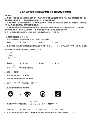 2025年广东省汕尾陆丰市数学七下期末达标测试试题含解析