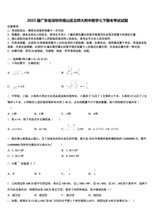 2025届广东省深圳市南山区北师大附中数学七下期末考试试题含解析